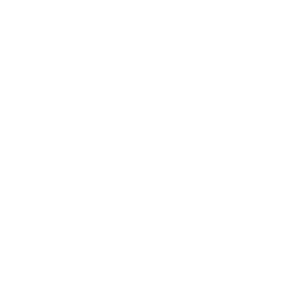 VSG Altglienicke Logo